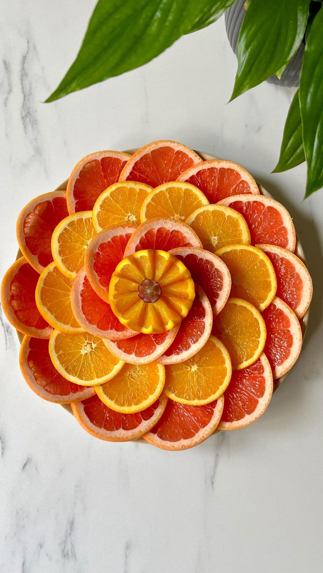 آموزش میوه آرایی پرتقال