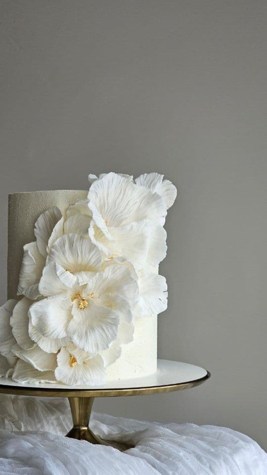 انتقال طرح تاپر